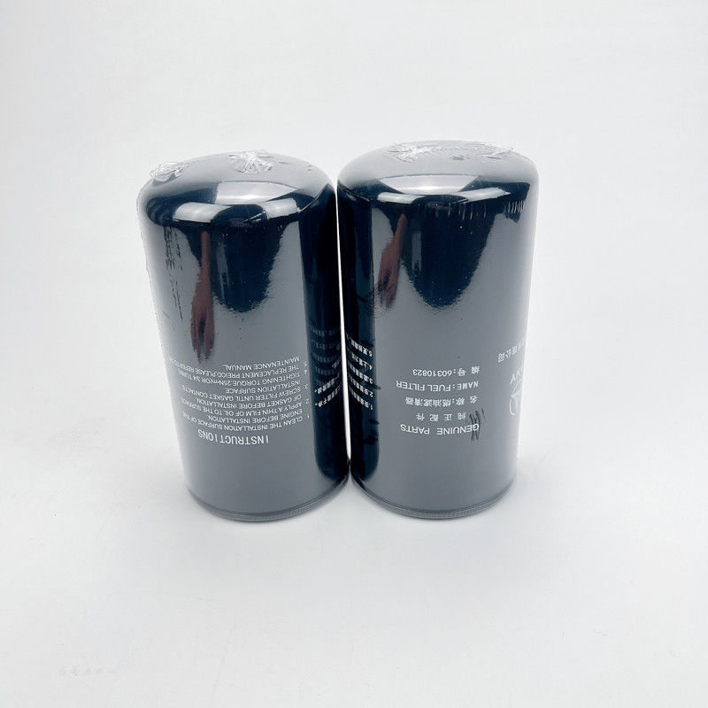 Filtre à carburant à haut rendement Filtre moteur 60310823 pour Sany